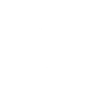 Icon Podologie
