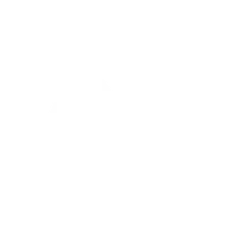 Icon Orthopädie Einlagen
